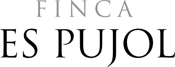 FINCA ES PUJOL